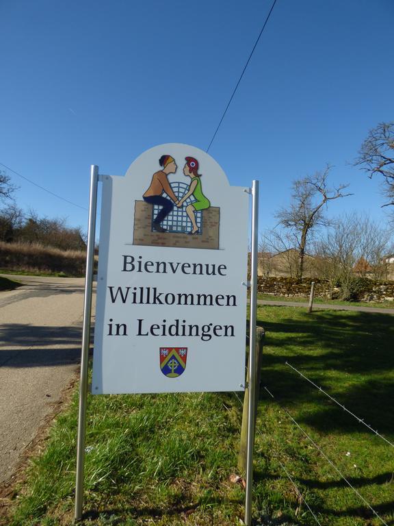 Gite "Vue Sur La Frontiere" Heining-les-Bouzonville Exterior foto